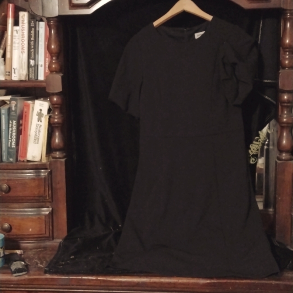 Black Shelby and Palmer size 8 church dress